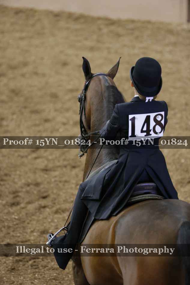 Proof 15YN_01824