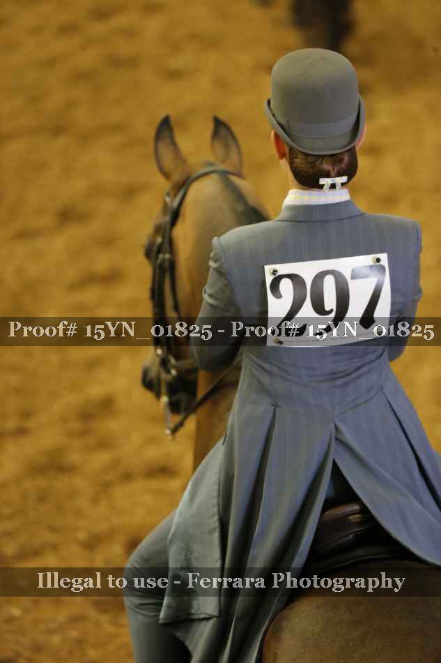 Proof 15YN_01825