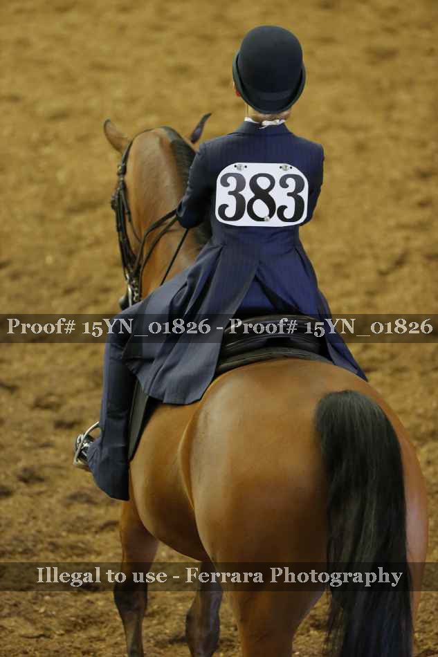 Proof 15YN_01826