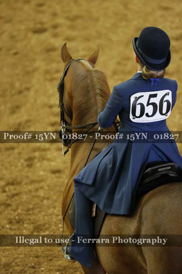 Proof 15YN_01827