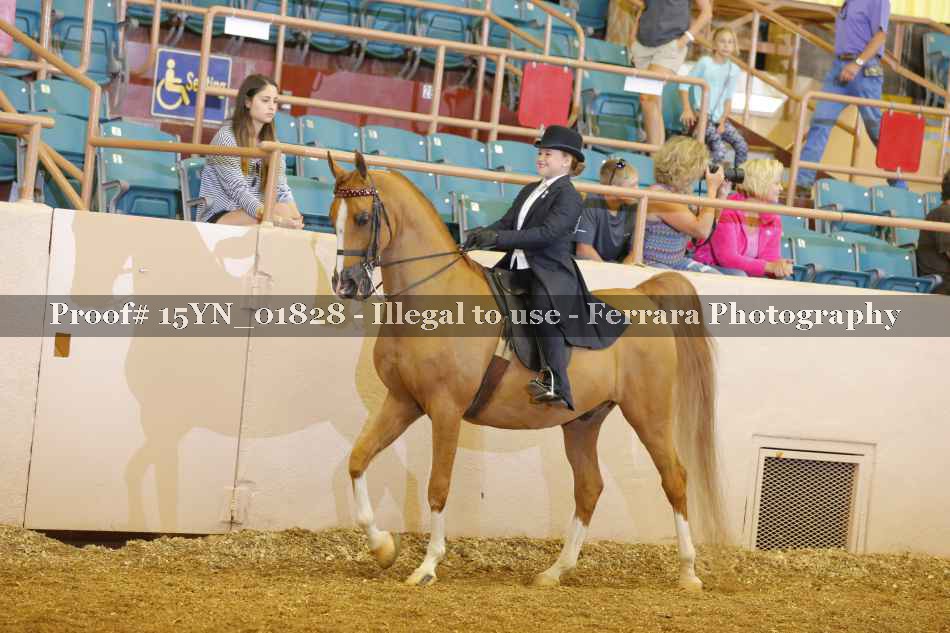 Proof 15YN_01828