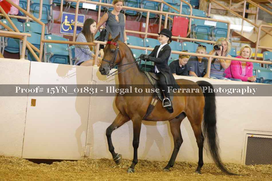Proof 15YN_01831