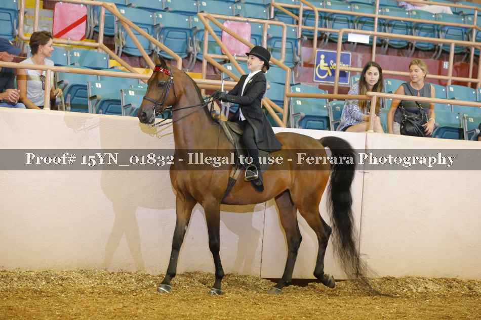 Proof 15YN_01832