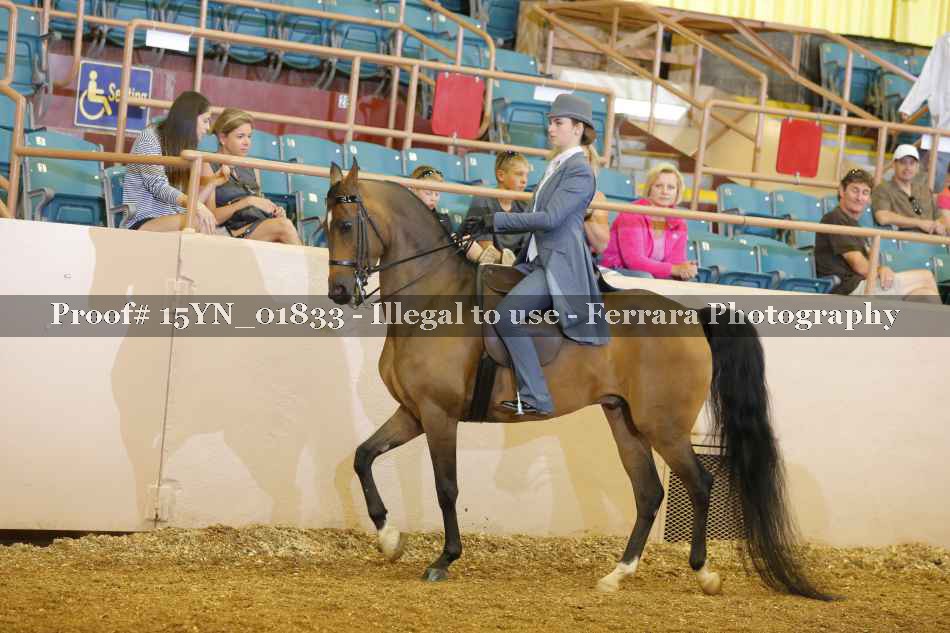 Proof 15YN_01833