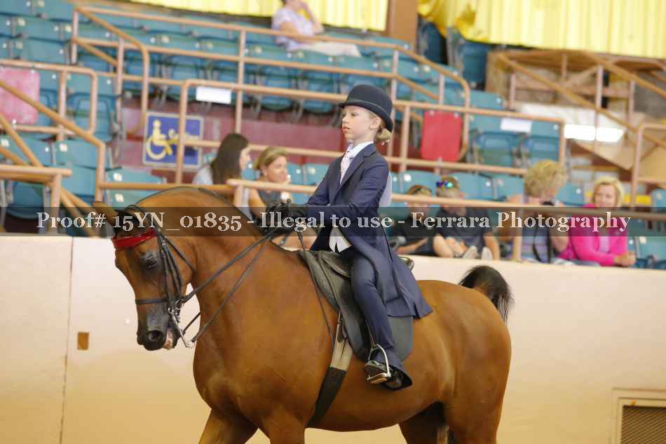 Proof 15YN_01835