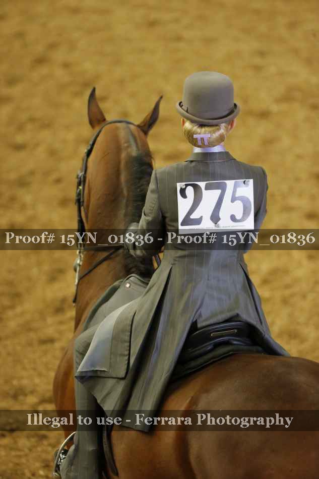 Proof 15YN_01836