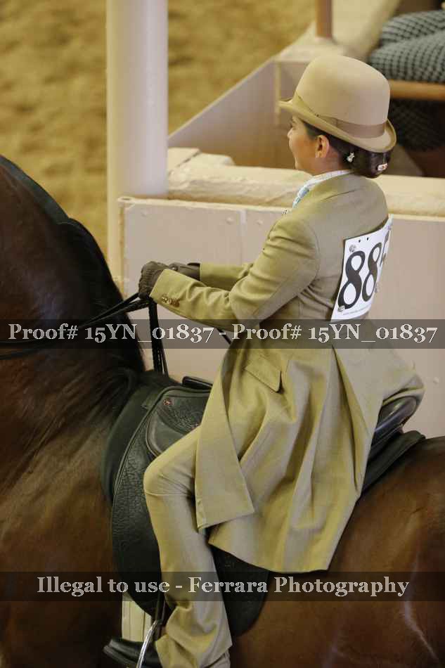 Proof 15YN_01837