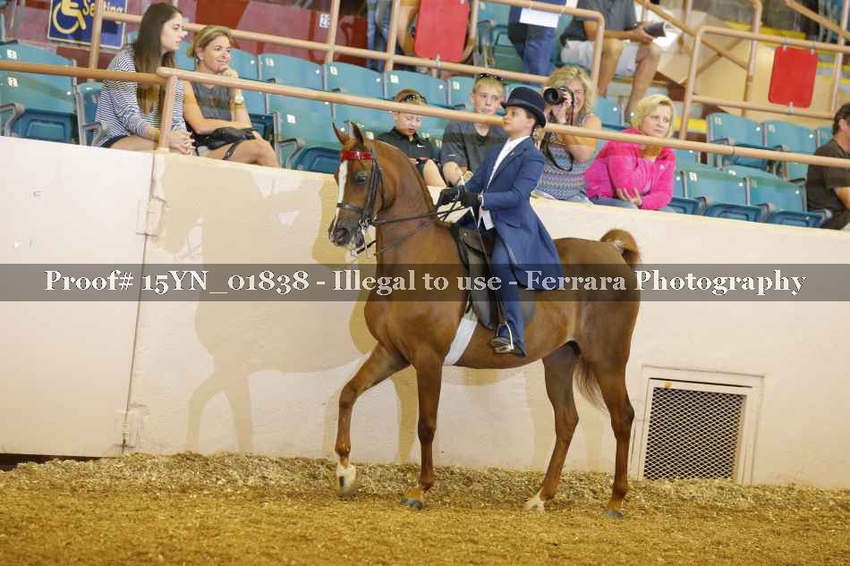 Proof 15YN_01838