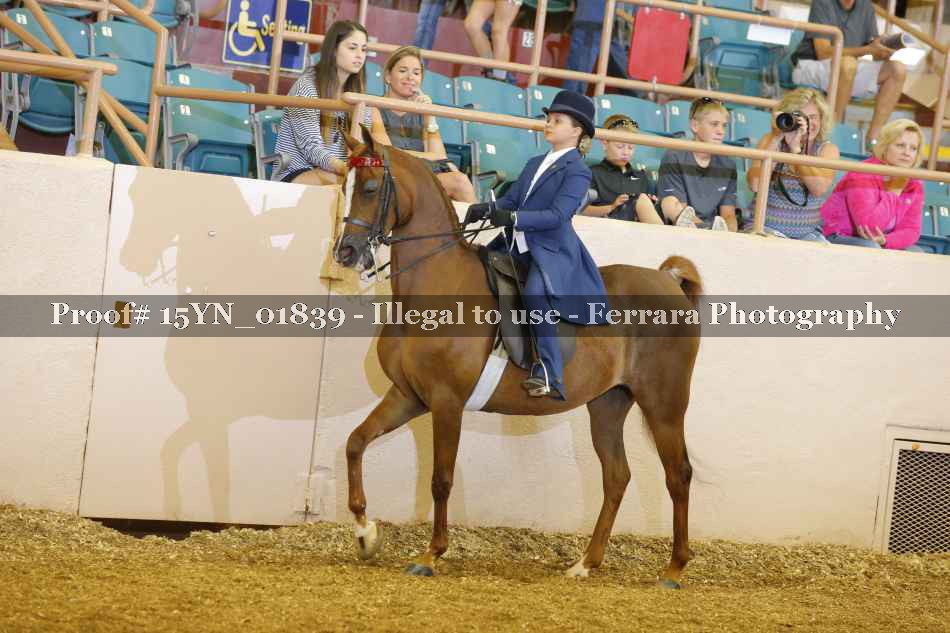 Proof 15YN_01839