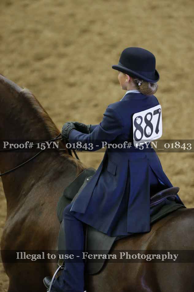 Proof 15YN_01843