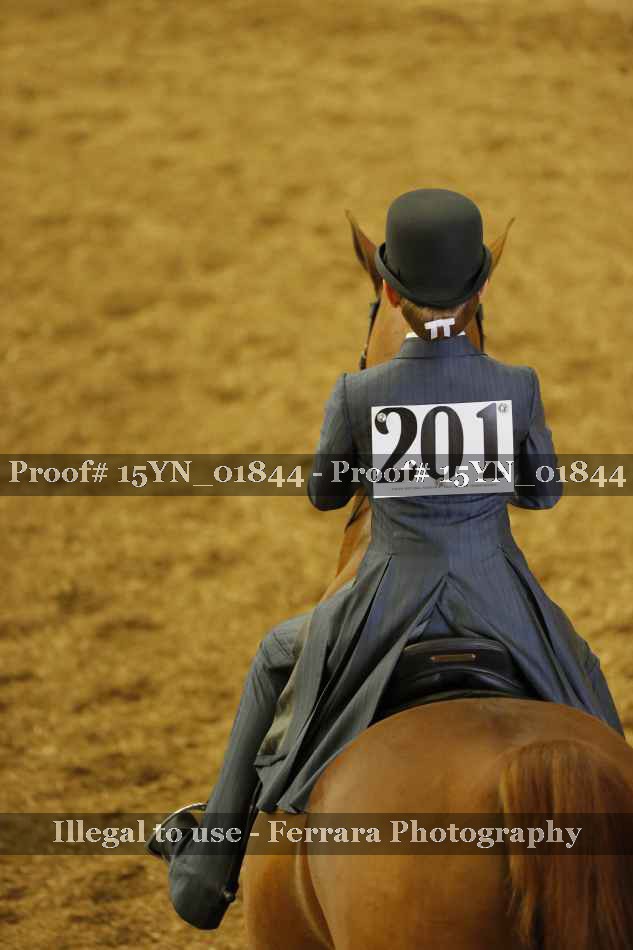 Proof 15YN_01844