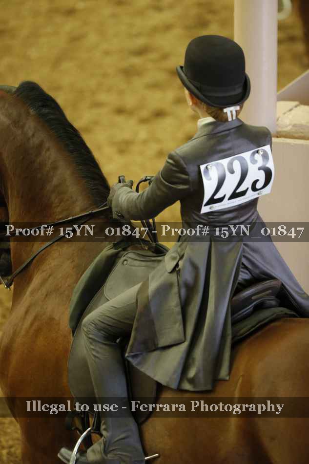Proof 15YN_01847