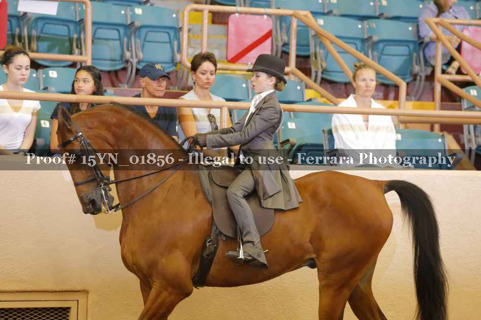 Proof 15YN_01856