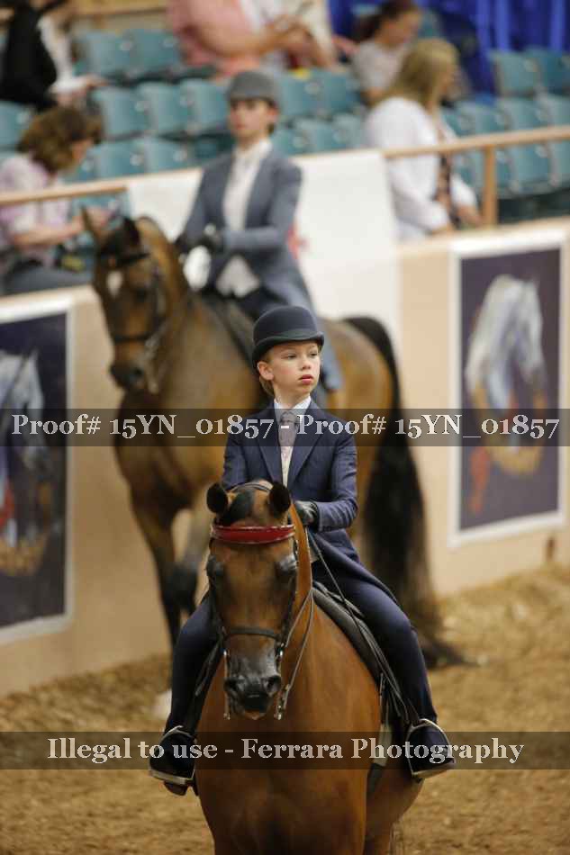 Proof 15YN_01857