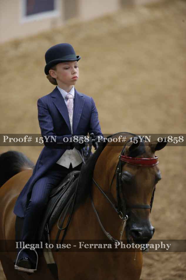 Proof 15YN_01858