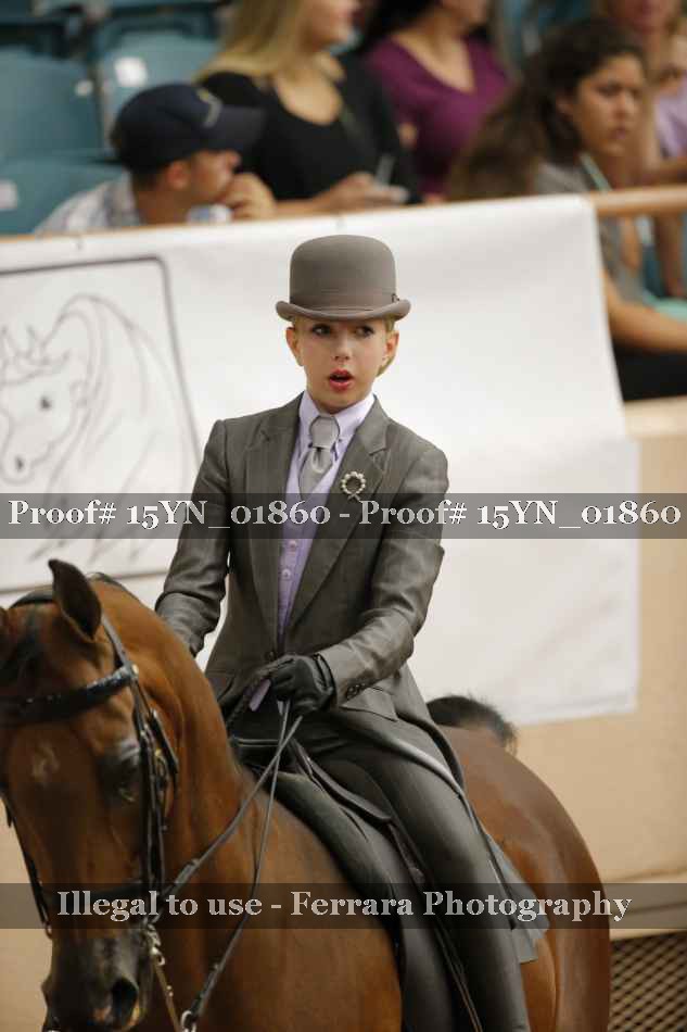 Proof 15YN_01860