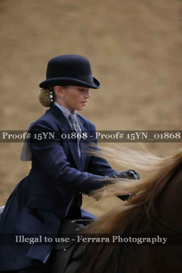 Proof 15YN_01868