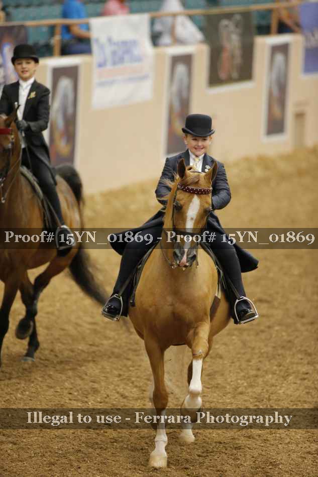Proof 15YN_01869