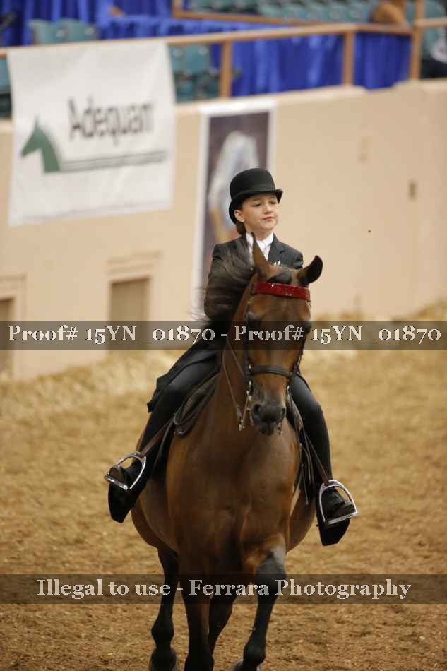 Proof 15YN_01870