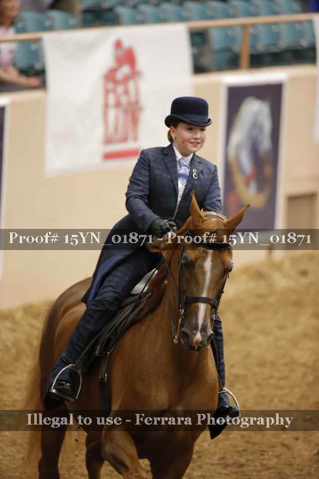 Proof 15YN_01871
