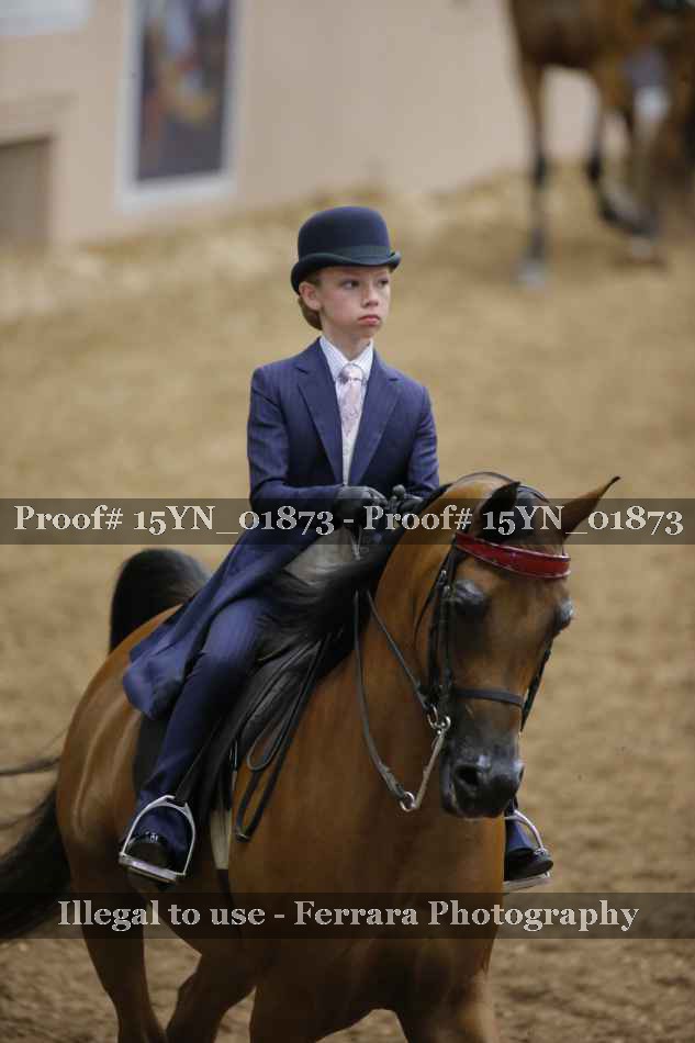 Proof 15YN_01873