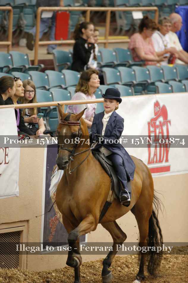 Proof 15YN_01874