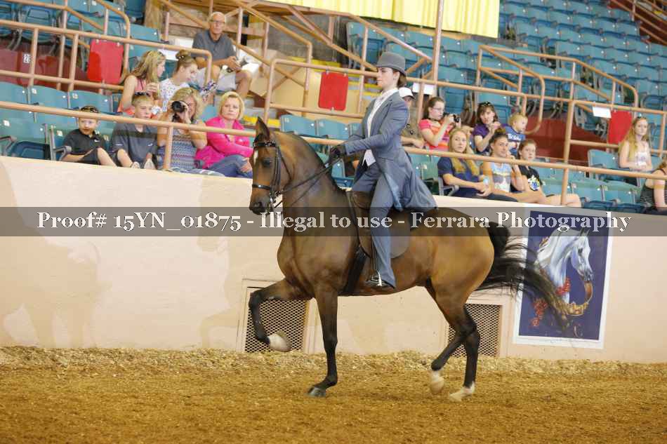 Proof 15YN_01875