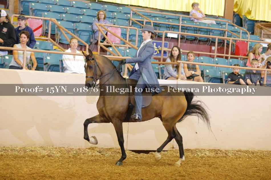 Proof 15YN_01876