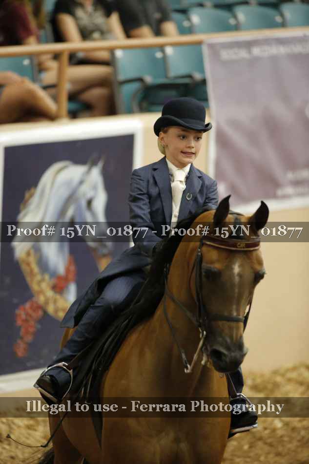 Proof 15YN_01877