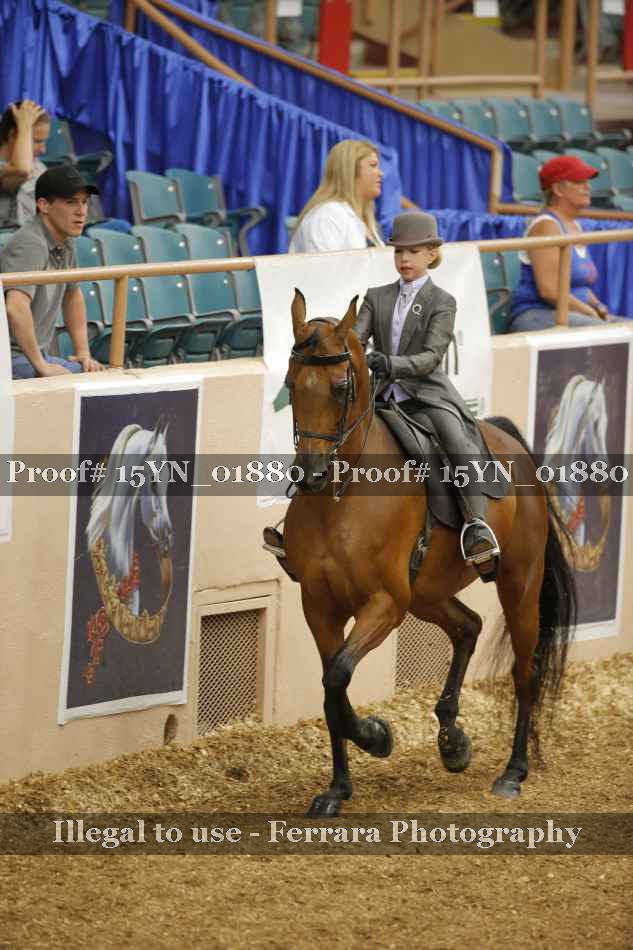 Proof 15YN_01880