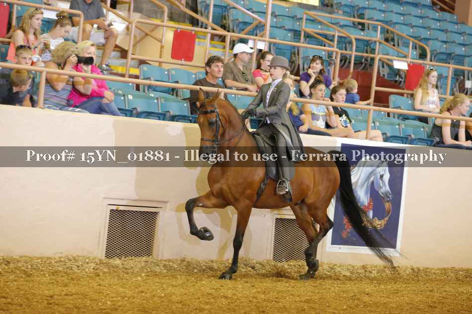 Proof 15YN_01881