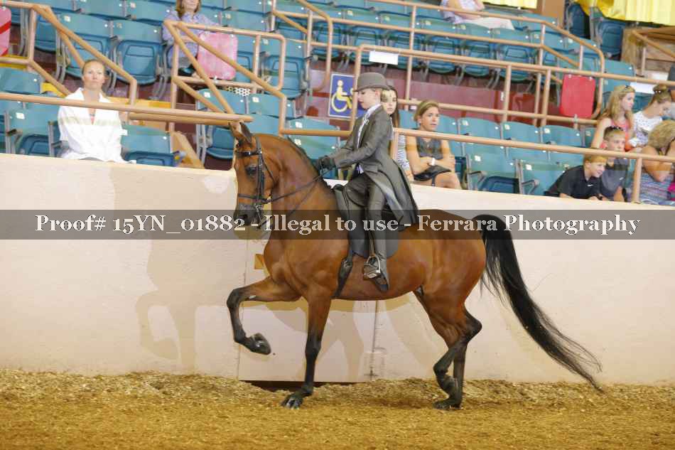 Proof 15YN_01882