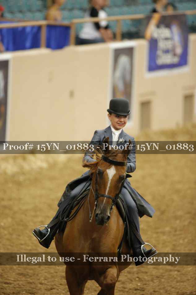 Proof 15YN_01883