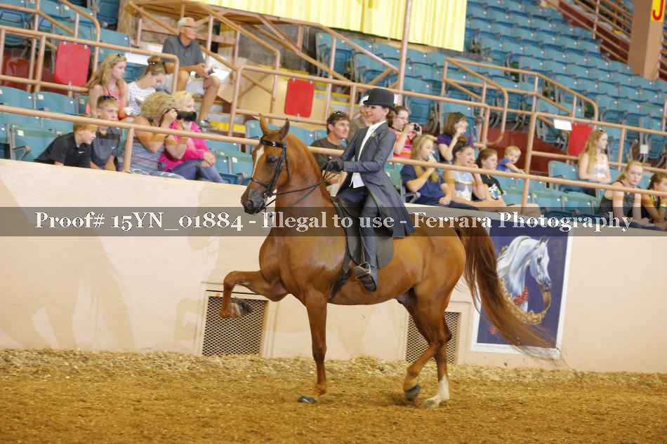 Proof 15YN_01884