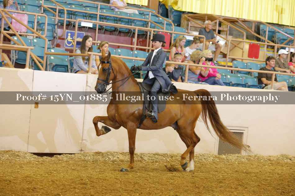 Proof 15YN_01885