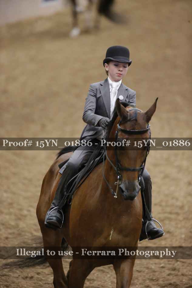 Proof 15YN_01886