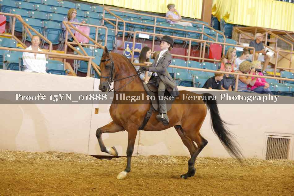 Proof 15YN_01888