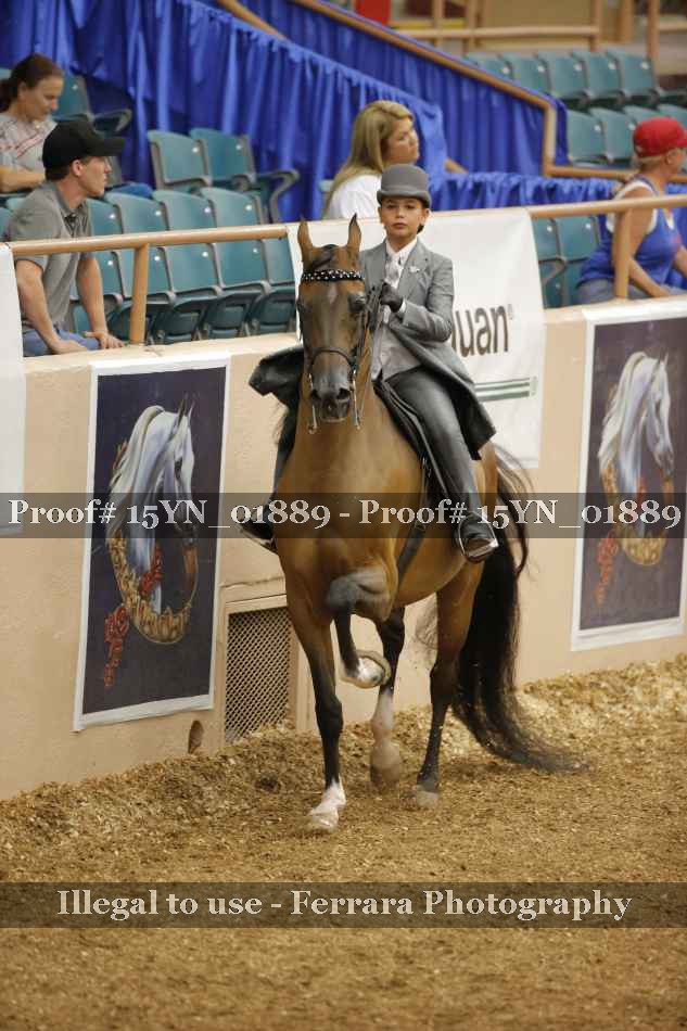 Proof 15YN_01889