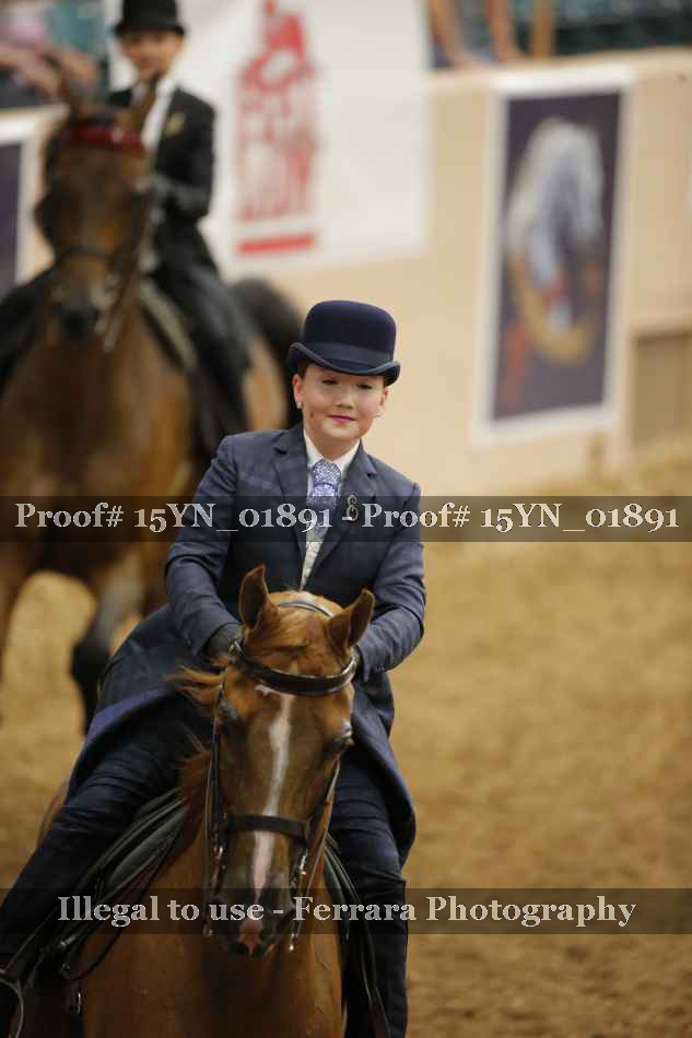 Proof 15YN_01891