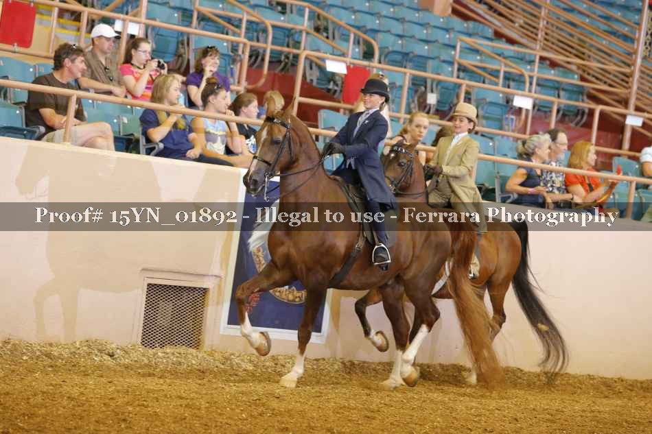 Proof 15YN_01892