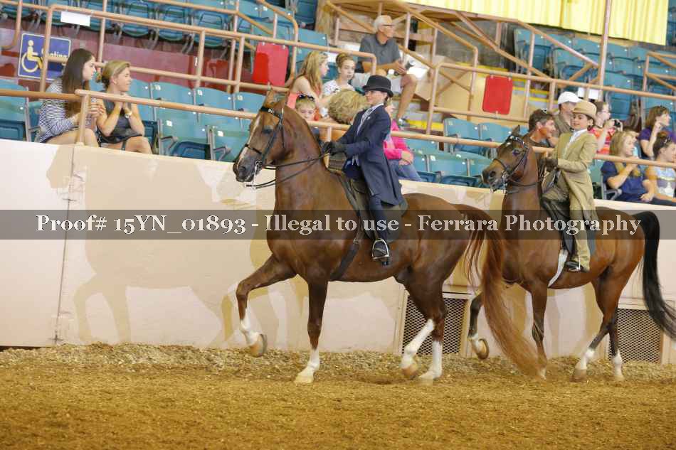 Proof 15YN_01893