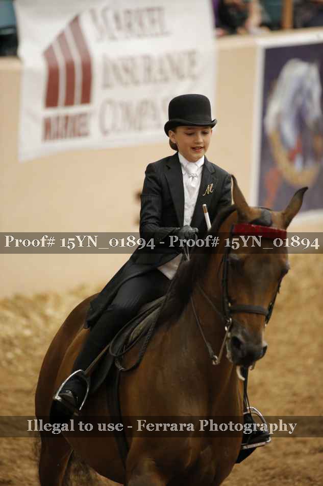 Proof 15YN_01894