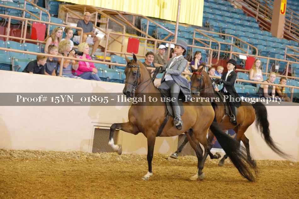 Proof 15YN_01895