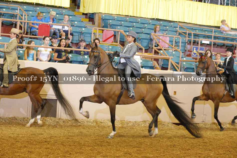 Proof 15YN_01896