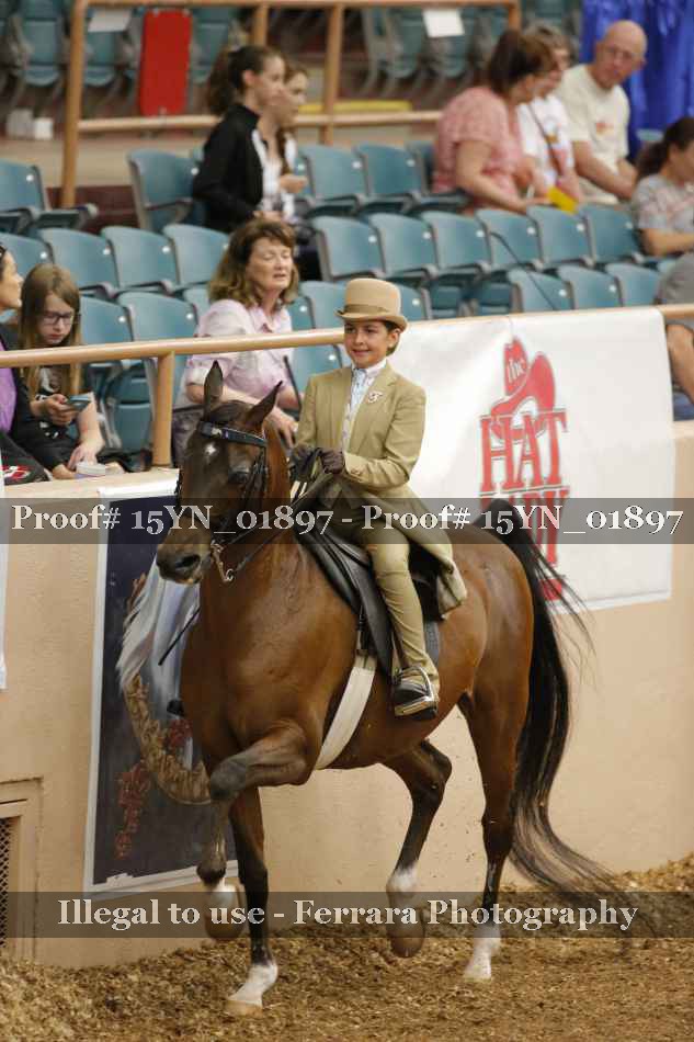 Proof 15YN_01897