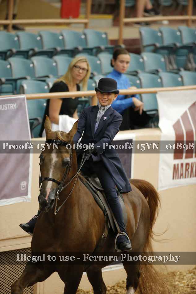 Proof 15YN_01898