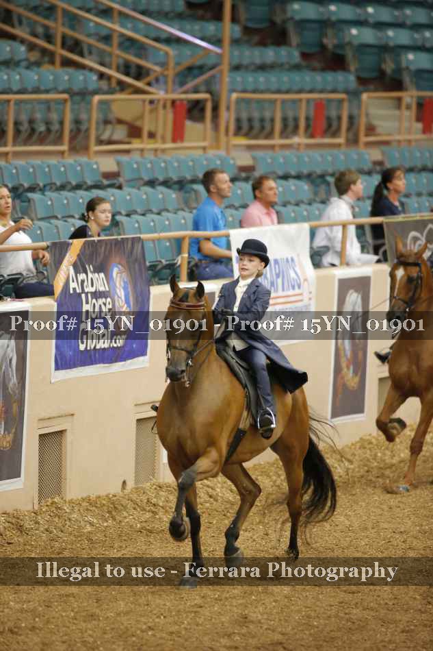 Proof 15YN_01901