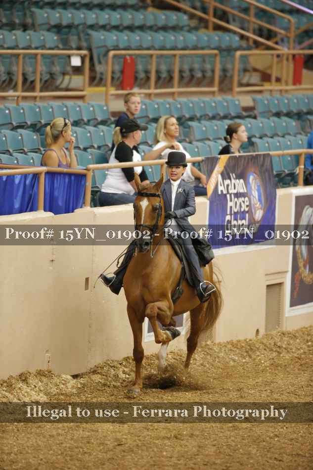 Proof 15YN_01902