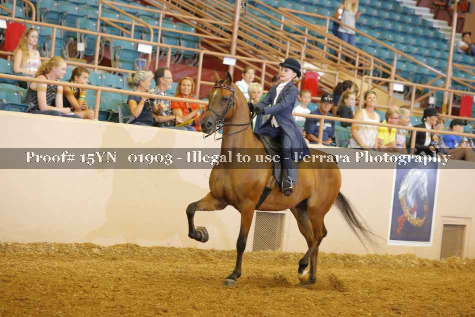 Proof 15YN_01903