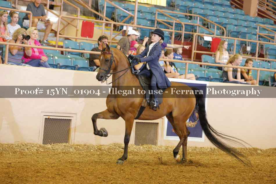 Proof 15YN_01904